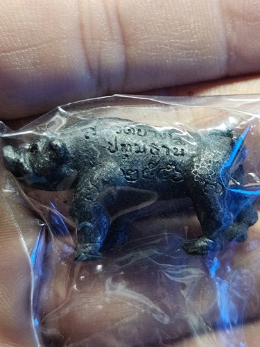 วัดบางนา จ.ปทุมธานี หมูมหาลาภ หมูเขี้ยวตัน ย้อนยุค หลวงพ่อเส็ง  รุ่น 113 ปี (รุ่น 2)  ปี 2556 