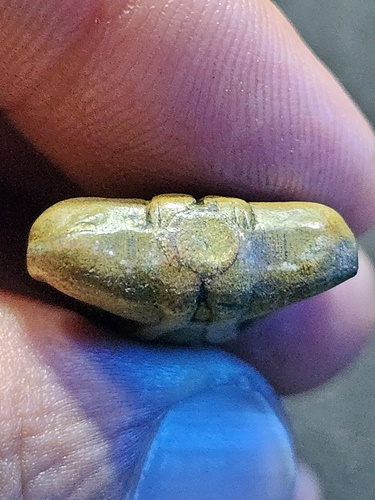 วัดบางกะปิ กทม พระปิดตา หลวงพ่อยุ้ย อุดกริ่ง รุ่น 3 ปี 2515