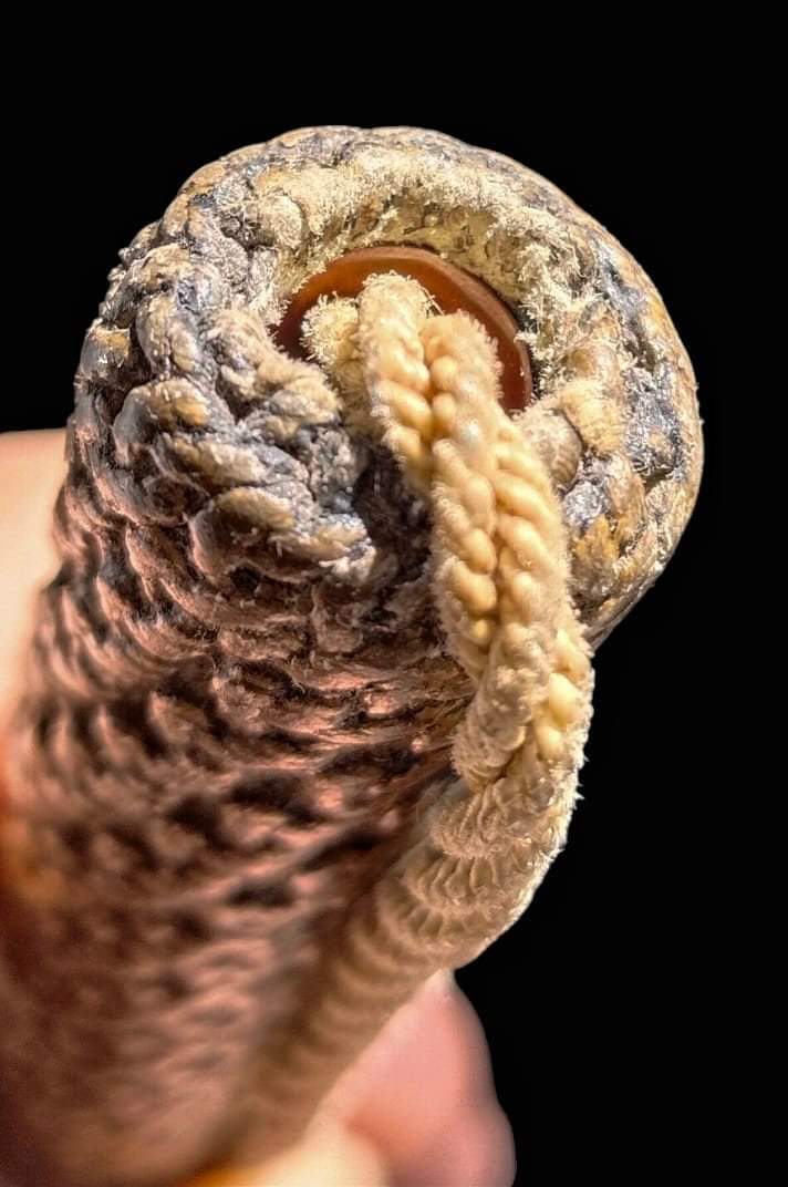 ตะกรุดโทน หลวงพ่อคำ ชาตสุโข วัดหัวทะเล จ.นครสวรรค์