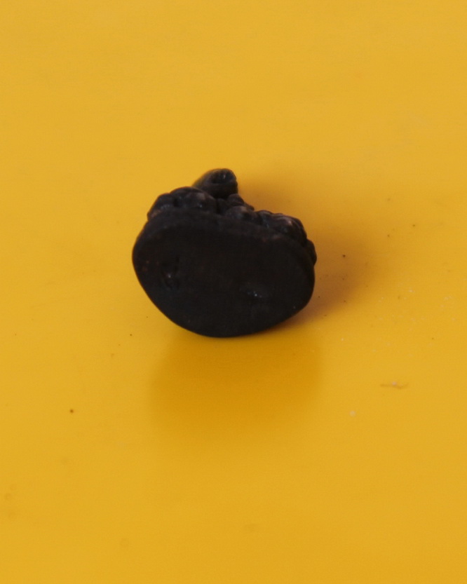 พระชัยวัฒน์พระชนมายุ70ชันษา สมเด็จพระญาณสังวร วัดบวรนิเวศ