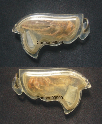 แมลงภู่ เกจิสายเหนือครับ เก่าๆ ครับผม