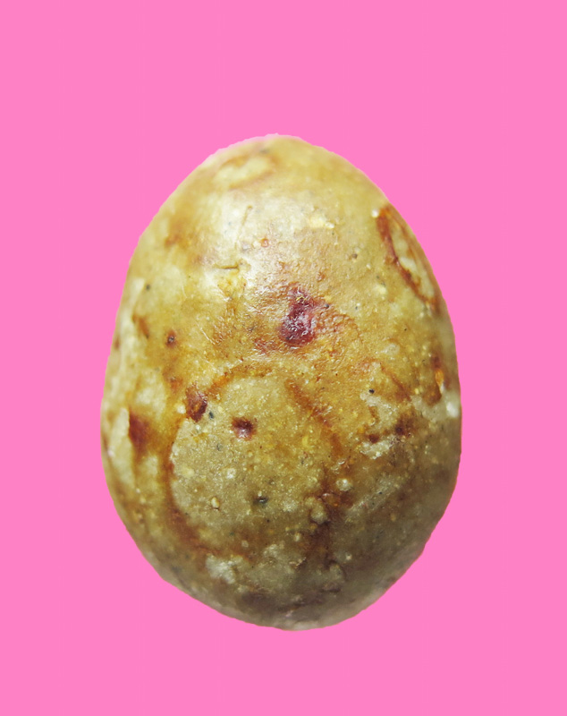 พระเม็ดบัว เนื้อผงน้ำมันเคลือบด้วย