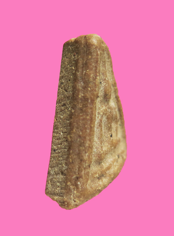 นางพญาเนื้อผงน้ำมัน หนา