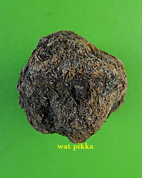 ชานหมากหลวงปู่ทิม วัดพระขาว อยุธยา .B827.