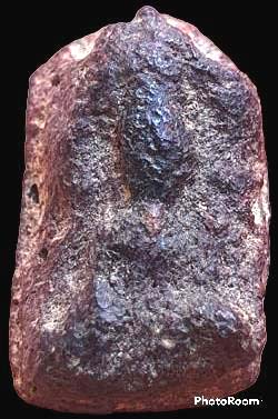 *พิมพ์ซุ้มไข่ปลา เนื้อว่าน กรุวัดป่าแตง พระนครศรีอยุธยา*