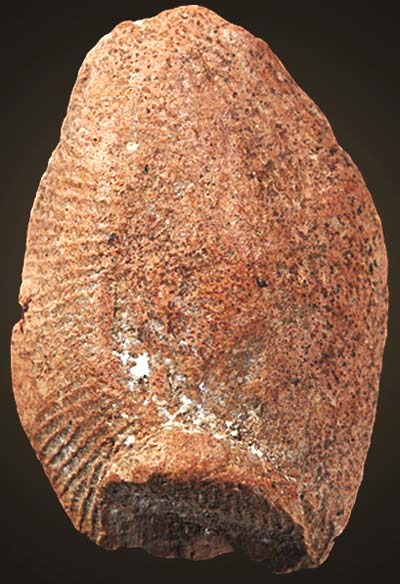 *พระกำแพงเม็ดน้อยหน่า กรุวัดพระแก้ว กำแพงเพชร องค์ปีกกว้าง(4)*