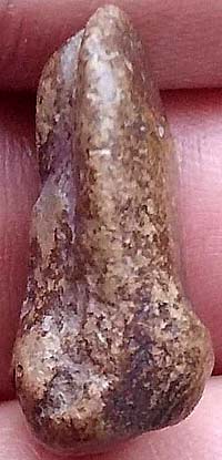 *พระเม็ดบัว (เม็ดน้อยหน่า) เนื้อดิน กรุวัดพระแก้ว กำแพงเพชร*