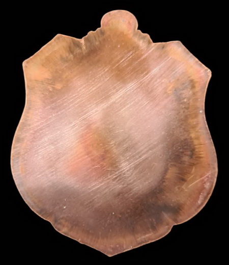 เคาะแรกแดง..พยัคฆ์เจ้าพระยา ๒๕๖๓..ทองแดงหลังเรียบไม่ตัดปีก # ๑๐๐..ล.พ.พัฒน์ วัดห้วยด้วน จ.นครสวรรค์