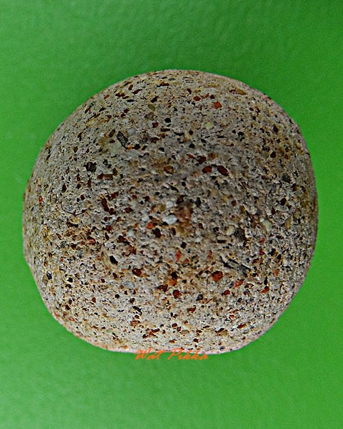 ลูกอมหลวงพ่อสี วัดไผ่เงินโชตนาราม กทม. .D312.