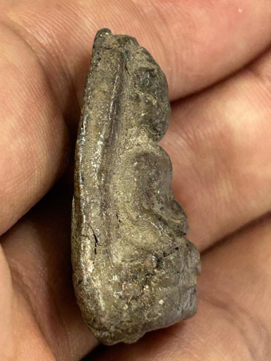 หลวงพ่อทุ่งคา ปี 2505  