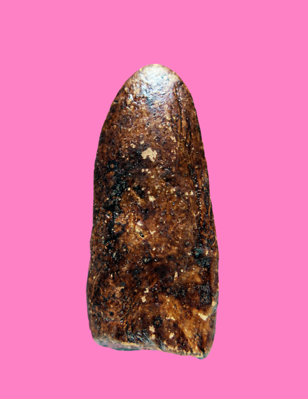 พระเนื้อดินลงรักน้ำเกลี้ยง 