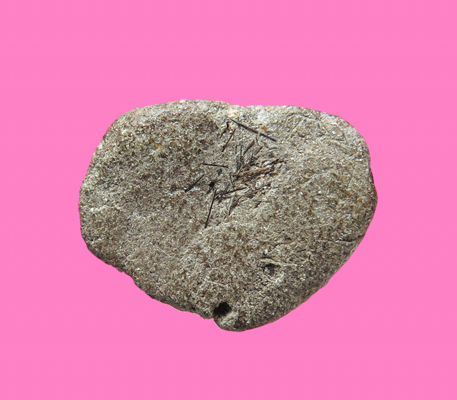 พระผง พิมพ์สังกัจจาย มีเกสา หลวงพ่อเพิ่ม วัดสรรเพชร นครปฐม