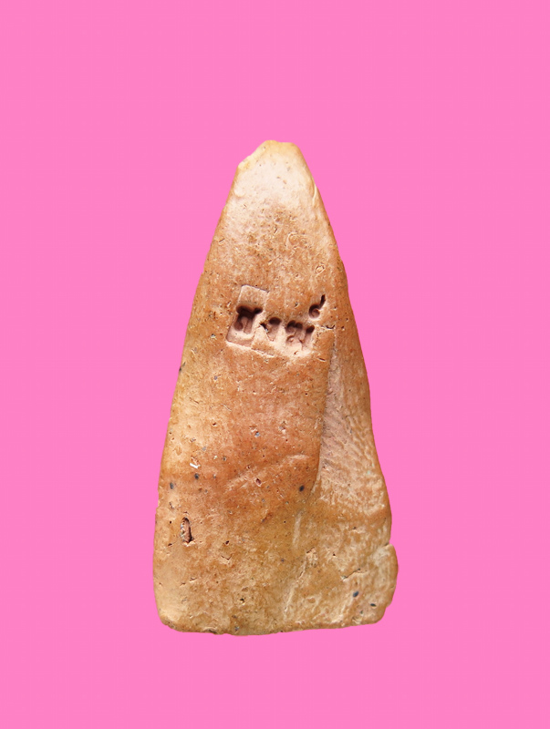 พระเนื้อดินพิมพ์ท่ามะปรางค์ หลวงพ่อทวี วัดโรงช้าง ปี 2499  จังหวัดพิจิตร