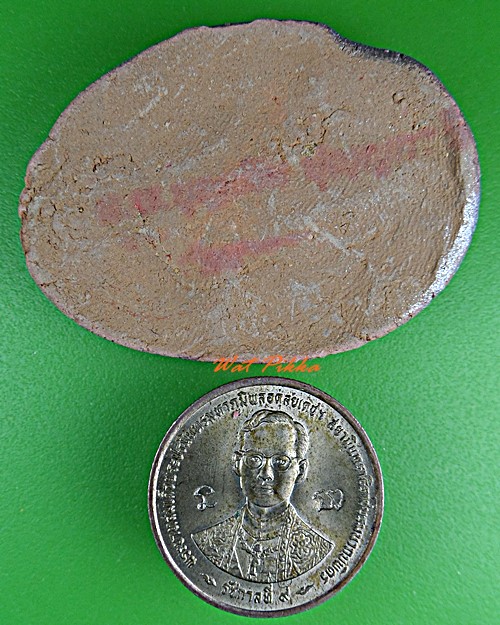 ตุ๊กแกหลวงพ่อบุญเติม วัดชาตะยานนท์ ยโสธร .D318.