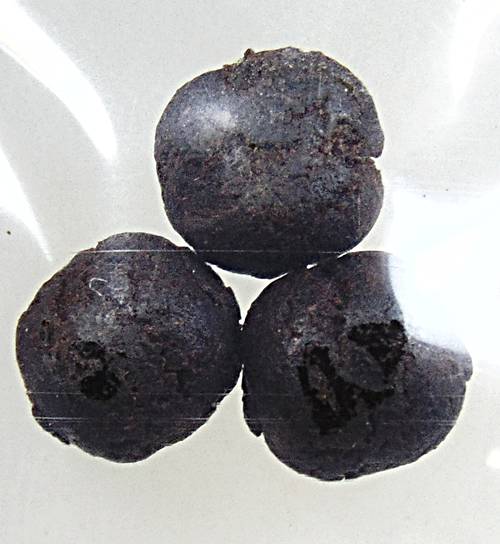 ลูกอมวาสนาจินดามณี หลวงปู่ทองอยู่ วัดท่าเสา สมุทรสาคร  ๒