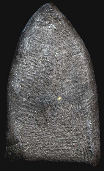 *หลวงพ่อทวดหมาน พิมพ์จิ๋ว เนื้อว่าน รุ่นแรก ปี๒๕๐๗ ท่านอาจารย์นอง วัดทรายขาว ปัตตานี(๖)*