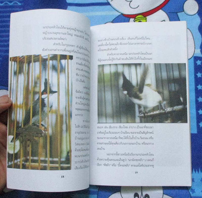  	 หนังสือ สีสันและลีลานกปรอดหัวโขน