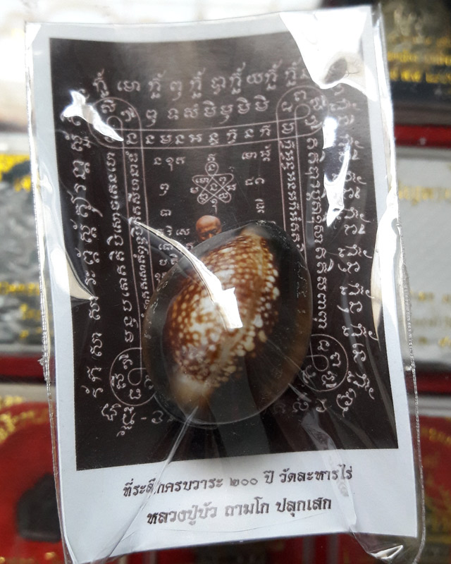 เบี้ยแก้ อุดผงพรายกุมารคลุกรักชันโรงพร้อมกระดาษยันต์ ปี 54 หลวงปู่บัว หลวงปู่คำบุ ปลุกเสก # เลข 8153