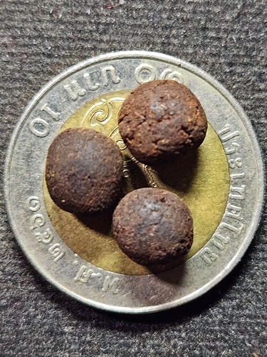 วัดกลางบางแก้ว นครปฐม เม็ดยาจินดามณี หลวงปู่เพิ่ม ปี 18