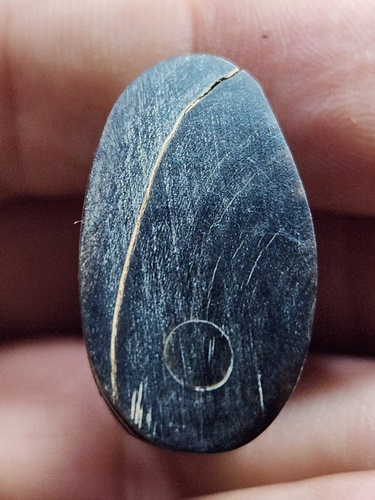 วัดบางพระ จ.นครปฐม เสือหลวงพ่อเปิ่น รุ่นไตรมาส ปี 2544 เนื้อเขาควายแกะ 