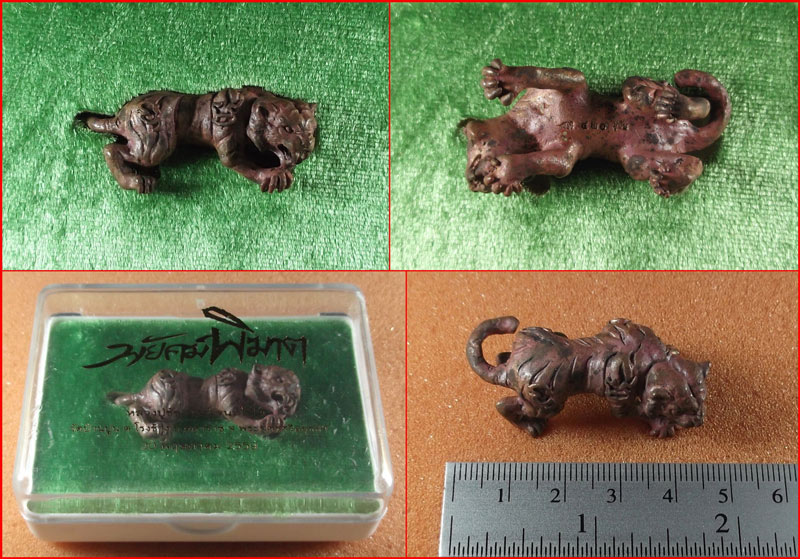 พยัคฆ์พิฆาต (อาบน้ำมนต์) หลวงปู่ชัชวาลย์ วัดบ้านปูน อยุธยา เนื้อทองแดงแรงฤทธิ์ ปี 2559