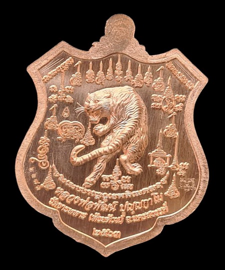 เคาะแรกแดง..พยัคฆ์เจ้าพระยา ๒๕๖๓..ทองแดงผิวไฟลงยาเขียว # ๒๒๘๓..ล.พ.พัฒน์ วัดห้วยด้วน จ.นครสวรรค์