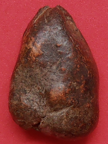 พระกำแพงกลีบบัว