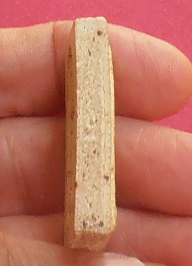 พระสมเด็จหลังพระธาตุร่องลึก วัดพระธาตุพนม จ.นครพนม