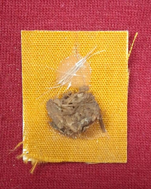 รูปถ่ายสีหลวงปู่สุภัทร์ ปุญญาคโม วัดสุขโขวนาราม จ.ขอนแก่น หลังติดจีวร-ชานหมาก-เกศา