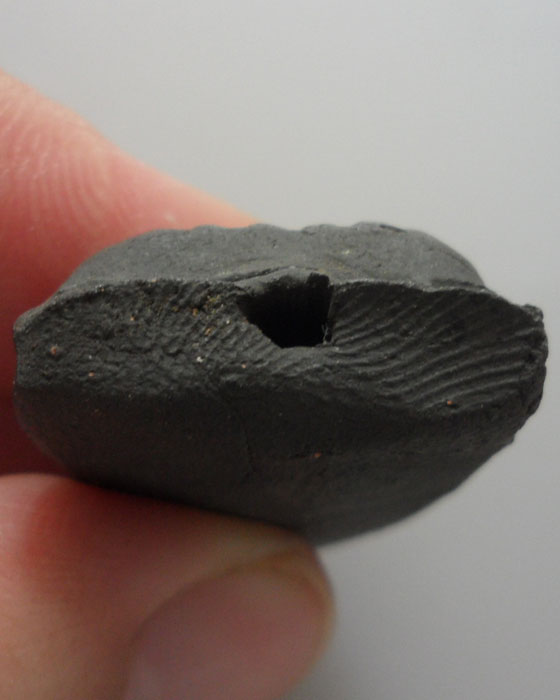 *** จ.ยะลา *** หลวงปู่ทวด เนื้อว่าน พ่อท่านฉิ้น วัดเมืองยะลา