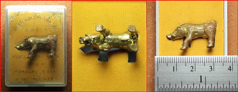 หมูทองแดงไอ้เกเขี้ยวตัน พระอาจารย์สมคิด วัดบึงตาต้า อ.ปลวกแดง จ.ระยอง รุ่นเจ้าสัวบูรพา ปี 2556