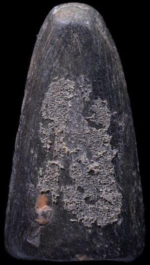 รูปเหมือนเนื้อดินผสมผง