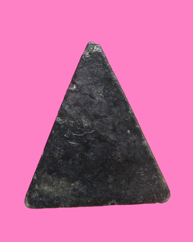 นางพญา เนื้อดินดำ