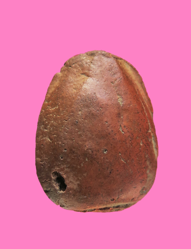 พระเม็ดบัวเนื้อดินก้นจาร เก่า