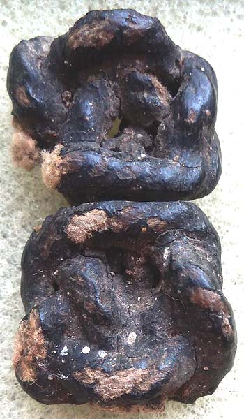 *ปมพิรอด เชือกจุ่มรัก วัดหนองบัว กาญจนบุรี*