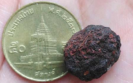 *ลูกอมชานหมาก หลวงปู่ทิม วัดพระขาว พระนครศรีอยุธยา*