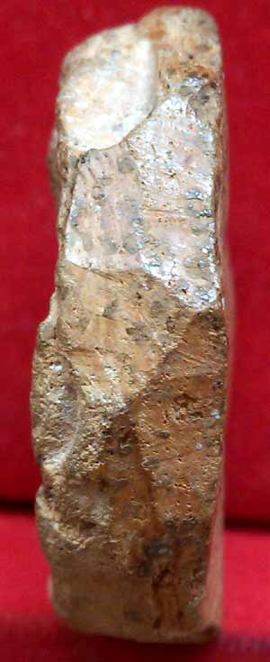 *ดินเก่า พิมพ์แปลก*