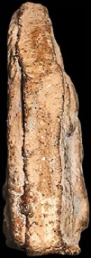 *ขุนแผนกุมารทอง เนื้อดิน รุ่นแรก ปี๒๔๙๕ หลวงพ่อไพฑูรย์ วัดโพธินิมิตร ฝั่งธนฯ*