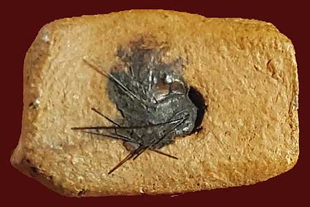 *พระรอด เนื้อดินเผา อุดเส้นเกศา*