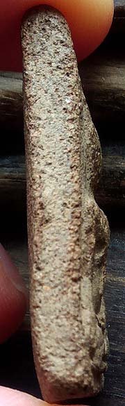 *นางพญา เนื้อดิน เก่าจัด*