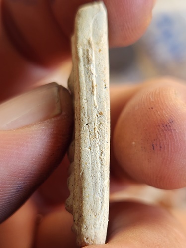 วัดกิ่งแก้ว สมุทรปราการ สมเด็จฐานขาโต๊ะ หลวงปู่เผือก 2497 ตะกรุดสาริกา 2 ดอก ออก วัดสลุด 