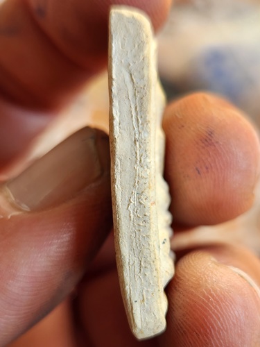 วัดกิ่งแก้ว สมุทรปราการ สมเด็จฐานขาโต๊ะ หลวงปู่เผือก 2497 ตะกรุดสาริกา 2 ดอก ออก วัดสลุด 