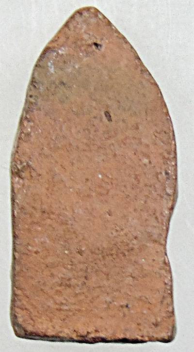 ๒๐ พระนาคปรกเนื้อดิน