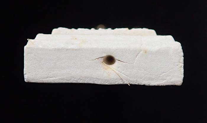 พระสมเด็จ หลังพระพุทธเจดีย์ศรีปฐมบรมธาตุ หลวงปู่ผล วัดเทียนดัด อายุ 98 ปี พิเศษกรรมการ