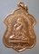 เหรียญปี34 หลวงพ่อสา วัดสามง่าม พิจิตร