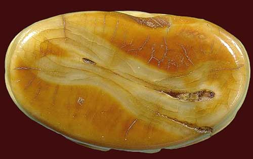 *เขี้ยวหมูตันแกะรูปเหมือนหลวงพ่อเงิน วัดบางคลาน*