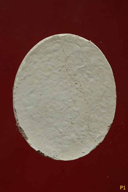 พระผงรูปเหมือนหลวงตามหาบัว...../1