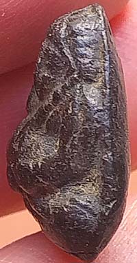 พระสังกัจจายน์ เนื้อดำ