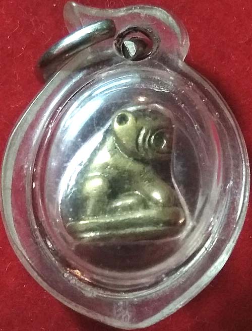 เสือจิ๋ว เนื้อทองเหลือง