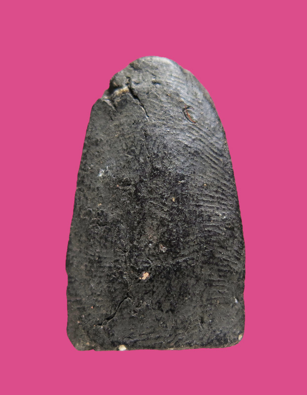 หลวงปู่ทวด ไม่ทราบที่